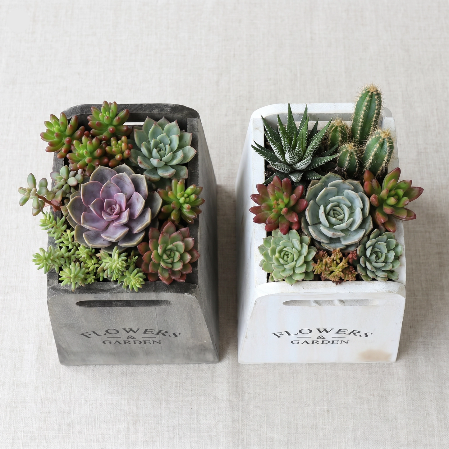 Maceta de Madera Rústica Flowers & Garden 12x12x15cm